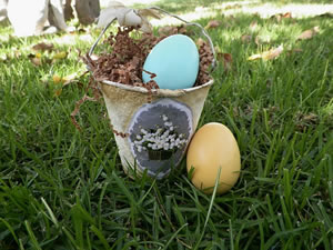 Easter or Chicken Egg
