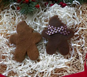 Gingerbread Man Soap, Beeswax and Melt Mold