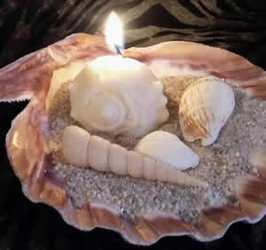 Seashell Soap and Candle Mold
