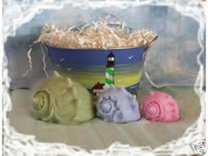Sea Shell Soap and Candle Mold
