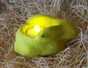 Everlasting Bunny Flicker Candle Mold
