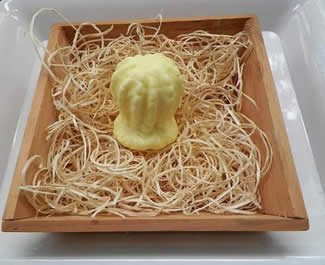Cactus Soap Mold