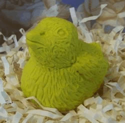 Baby Chick Soap Mold