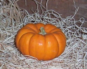 Pumpkin Soap and Candle Mold