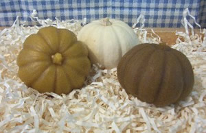 Pumpkin Soap and Candle Mold