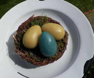 Robin's Egg Soap and Beeswax Mold
