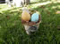 Chicken Egg