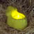 Highslide JS