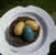 Robin's Egg