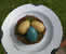 Robin's Egg
