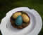 Robin's Egg