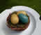 Robin's Egg
